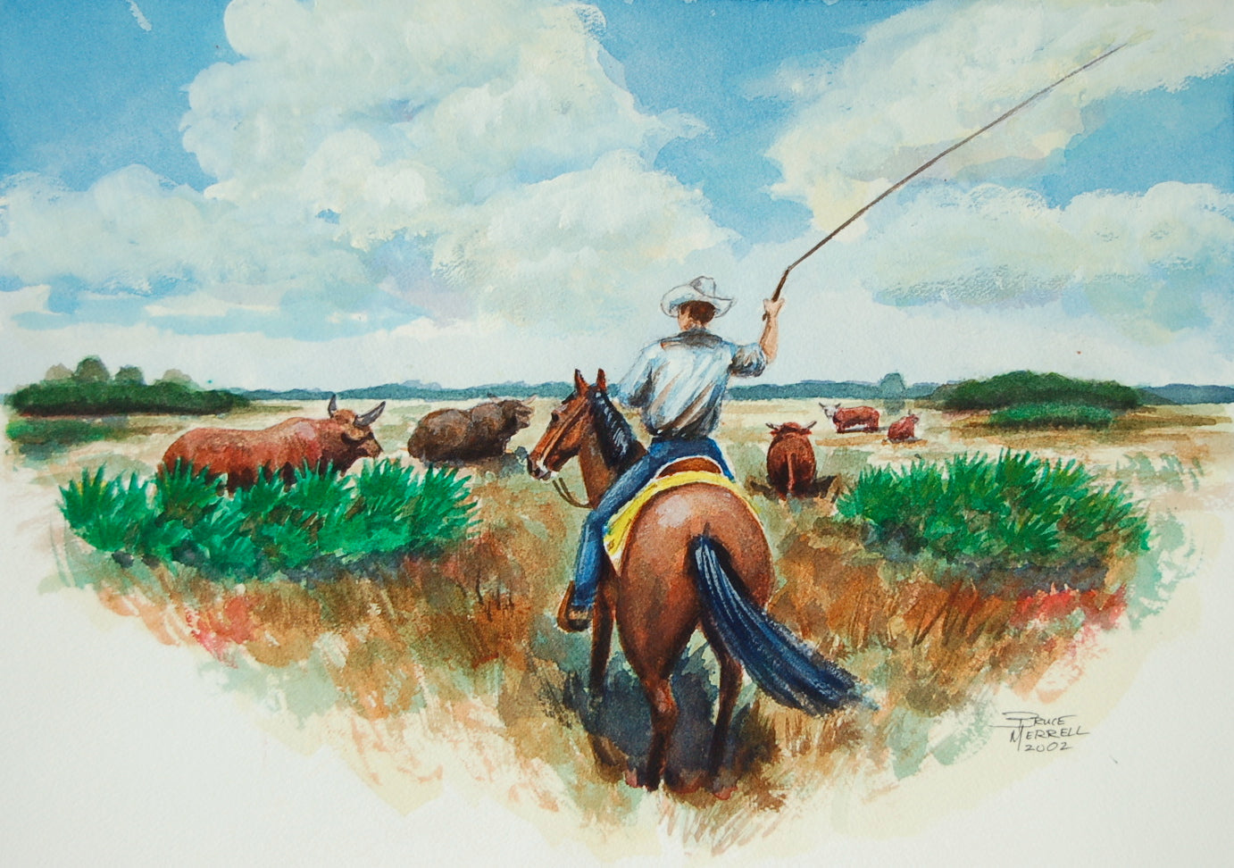 Florida Cracker Cowboy
